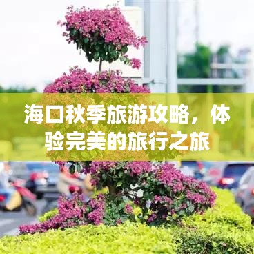 海口秋季旅游攻略，体验完美的旅行之旅