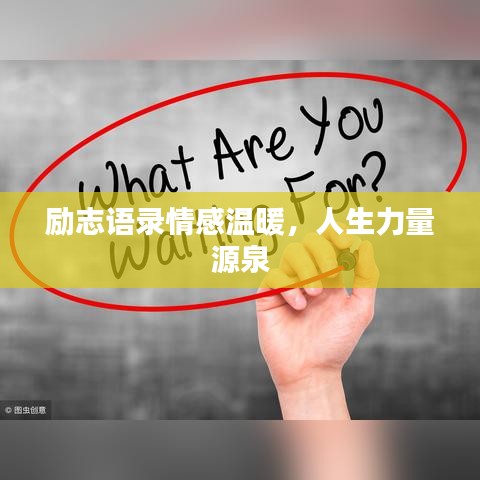 励志语录情感温暖，人生力量源泉