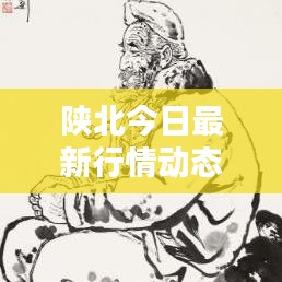 陕北今日最新行情动态，揭秘最新消息新闻