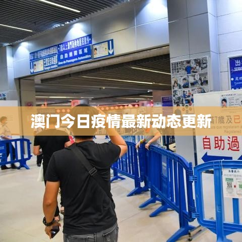 澳门今日疫情最新动态更新