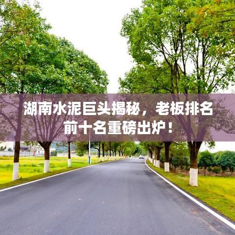 湖南水泥巨头揭秘，老板排名前十名重磅出炉！
