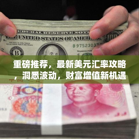 重磅推荐，最新美元汇率攻略，洞悉波动，财富增值新机遇！