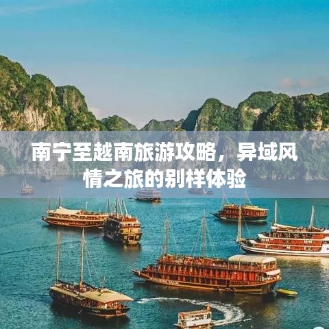 南宁至越南旅游攻略，异域风情之旅的别样体验