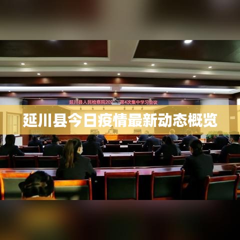 延川县今日疫情最新动态概览