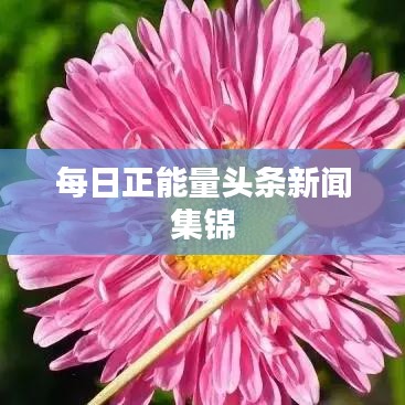 每日正能量头条新闻集锦