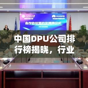 中国DPU公司排行榜揭晓，行业领军者一览