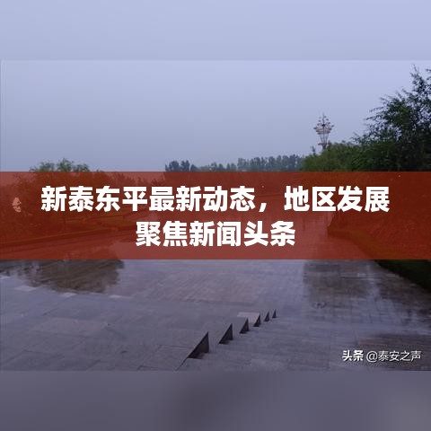 新泰东平最新动态，地区发展聚焦新闻头条