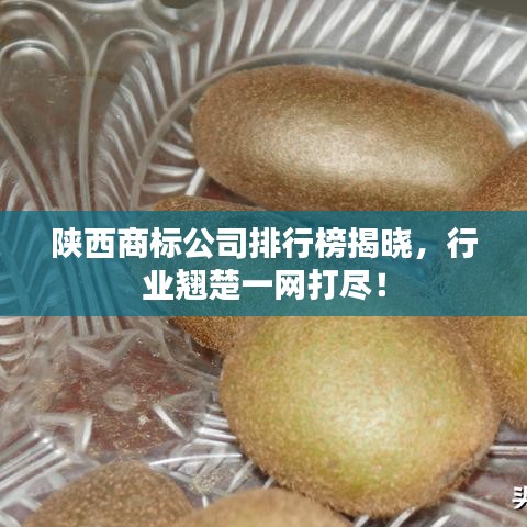陕西商标公司排行榜揭晓，行业翘楚一网打尽！