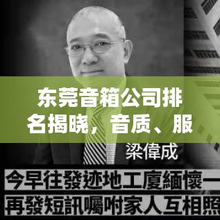 东莞音箱公司排名揭晓，音质、服务与创新，谁独占鳌头？