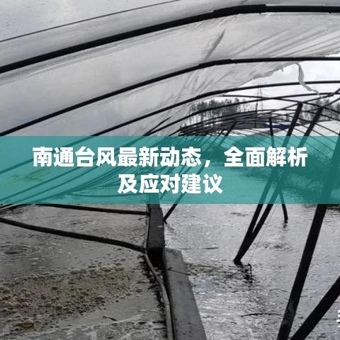 南通台风最新动态，全面解析及应对建议
