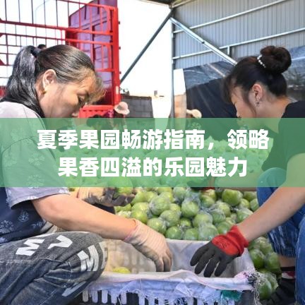 夏季果园畅游指南，领略果香四溢的乐园魅力