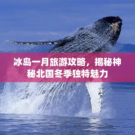 冰岛一月旅游攻略，揭秘神秘北国冬季独特魅力