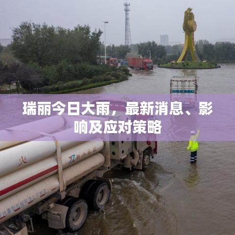 瑞丽今日大雨，最新消息、影响及应对策略