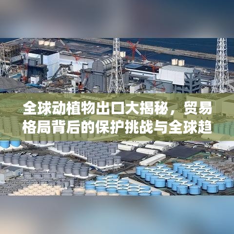 全球动植物出口大揭秘，贸易格局背后的保护挑战与全球趋势