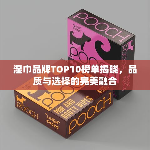 湿巾品牌TOP10榜单揭晓，品质与选择的完美融合