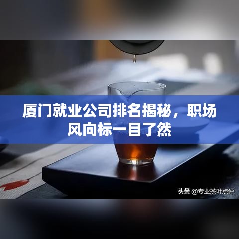 布被瓦器 第2页