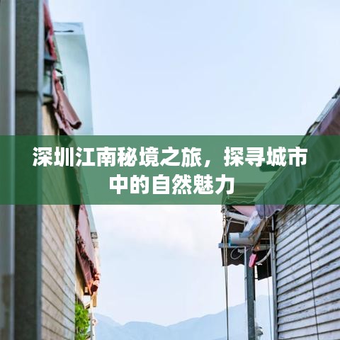 顶天立地 第2页