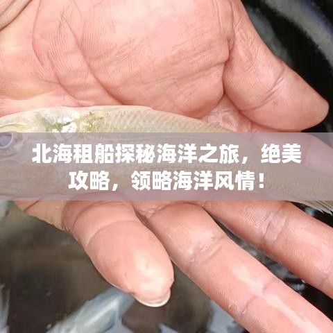北海租船探秘海洋之旅，绝美攻略，领略海洋风情！