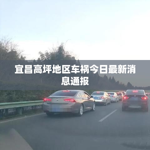 删华就素 第2页