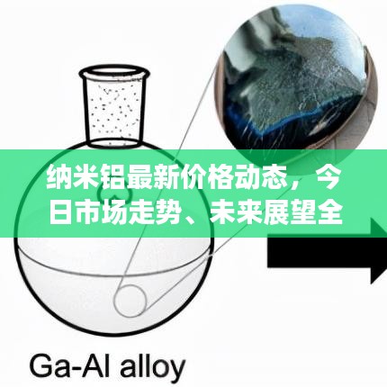 纳米铝最新价格动态，今日市场走势、未来展望全解析