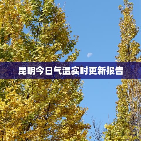 昆明今日气温实时更新报告