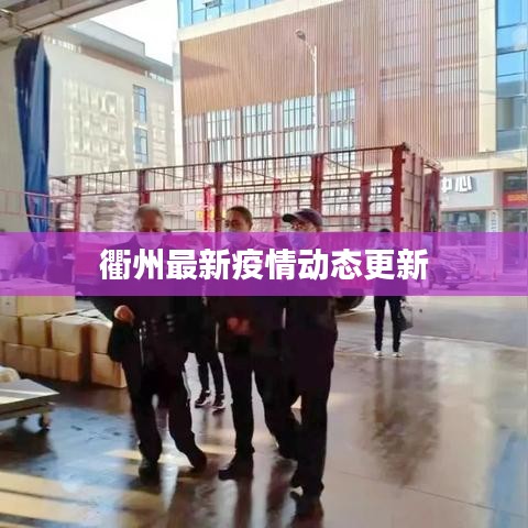 衢州最新疫情动态更新