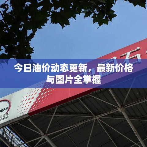 今日油价动态更新，最新价格与图片全掌握