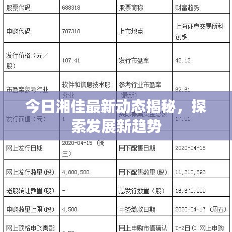 今日湘佳最新动态揭秘，探索发展新趋势