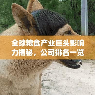 全球粮食产业巨头影响力揭秘，公司排名一览无余
