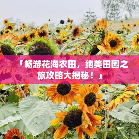 「畅游花海农田，绝美田园之旅攻略大揭秘！」