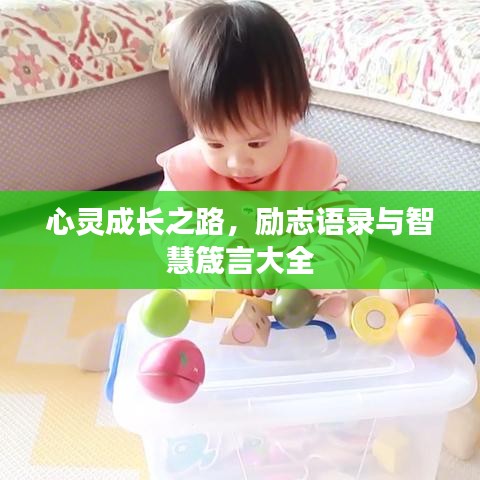 心灵成长之路，励志语录与智慧箴言大全