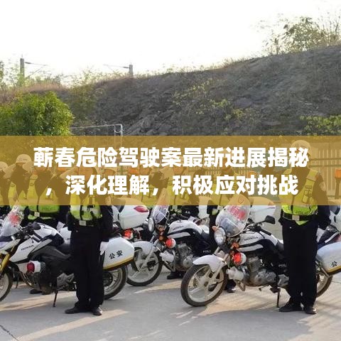 蕲春危险驾驶案最新进展揭秘，深化理解，积极应对挑战