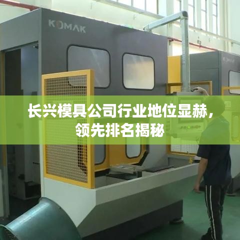 长兴模具公司行业地位显赫，领先排名揭秘