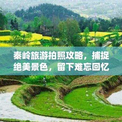 秦岭旅游拍照攻略，捕捉绝美景色，留下难忘回忆