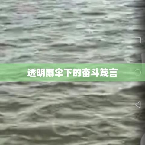 透明雨伞下的奋斗箴言