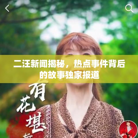 二汪新闻揭秘，热点事件背后的故事独家报道