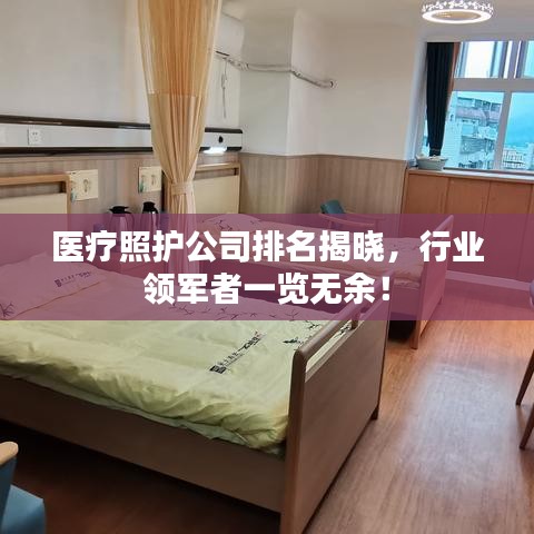 医疗照护公司排名揭晓，行业领军者一览无余！