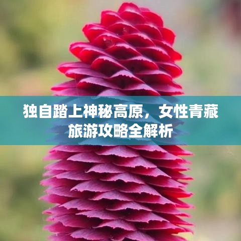 独自踏上神秘高原，女性青藏旅游攻略全解析