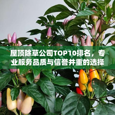 和为贵 第2页