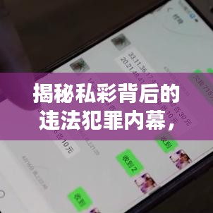 揭秘私彩背后的违法犯罪内幕，深度探讨背后的社会问题