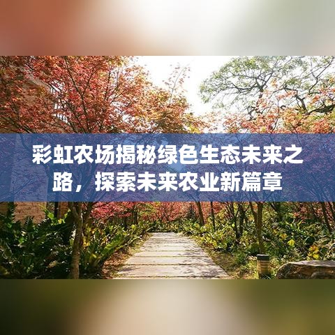 彩虹农场揭秘绿色生态未来之路，探索未来农业新篇章
