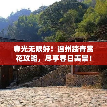 春光无限好！温州踏青赏花攻略，尽享春日美景！