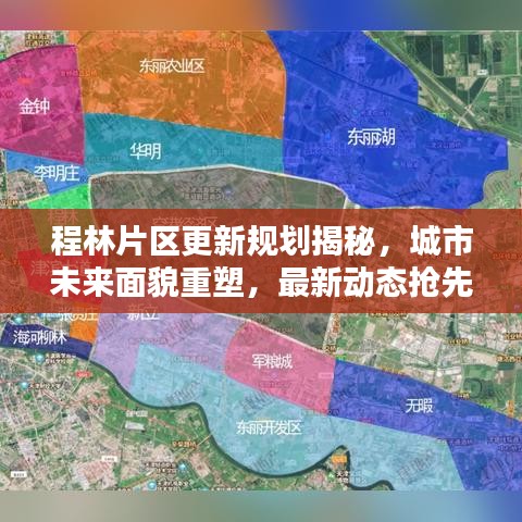 程林片区更新规划揭秘，城市未来面貌重塑，最新动态抢先知