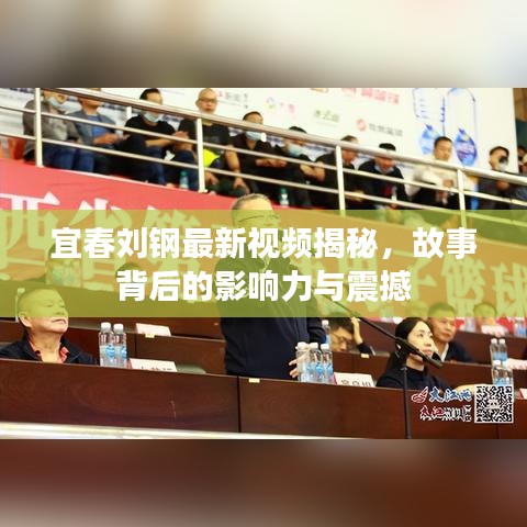 宜春刘钢最新视频揭秘，故事背后的影响力与震撼