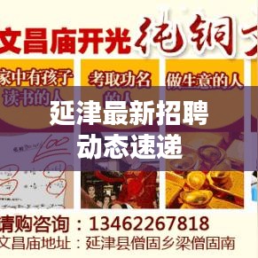延津最新招聘动态速递