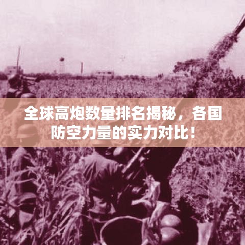 全球高炮数量排名揭秘，各国防空力量的实力对比！