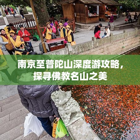 南京至普陀山深度游攻略，探寻佛教名山之美