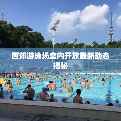 西郊游泳场室内开放最新动态揭秘
