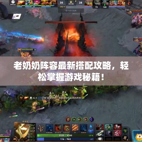 老奶奶阵容最新搭配攻略，轻松掌握游戏秘籍！