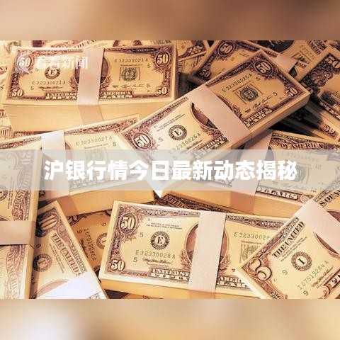 沪银行情今日最新动态揭秘